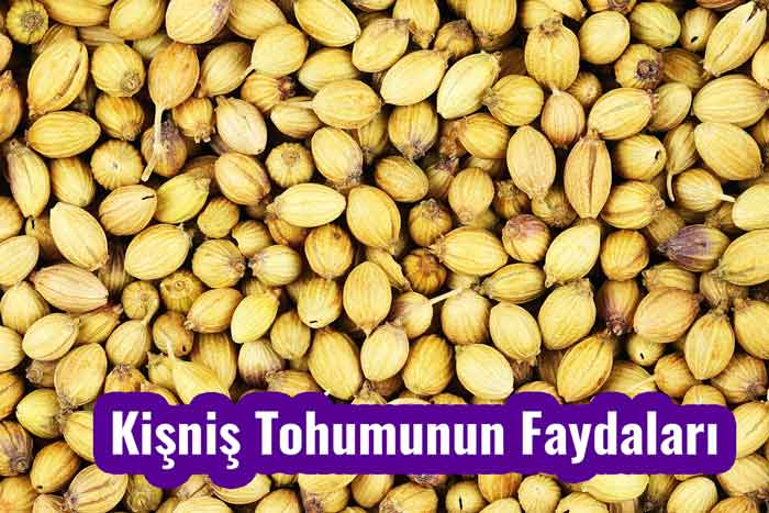 Kişniş Tohumunun Faydaları