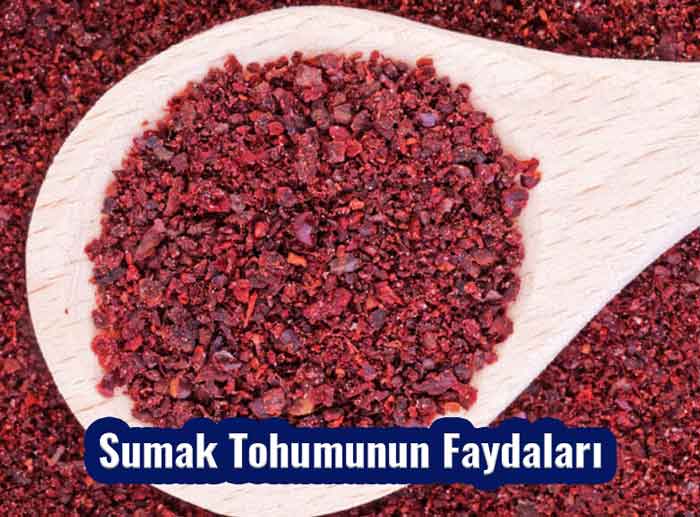 Sumak Tohumunun Faydaları