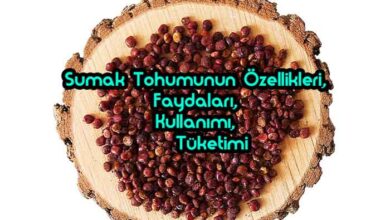 Sumak Tohumunun Özellikleri, Faydaları, Kullanımı, Tüketimi