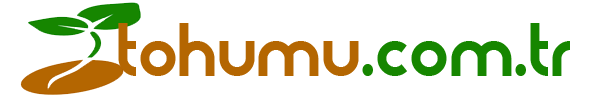 Tohum logo
