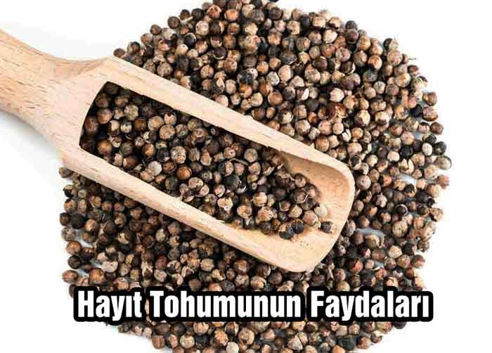 Hayıt Tohumunun Faydaları